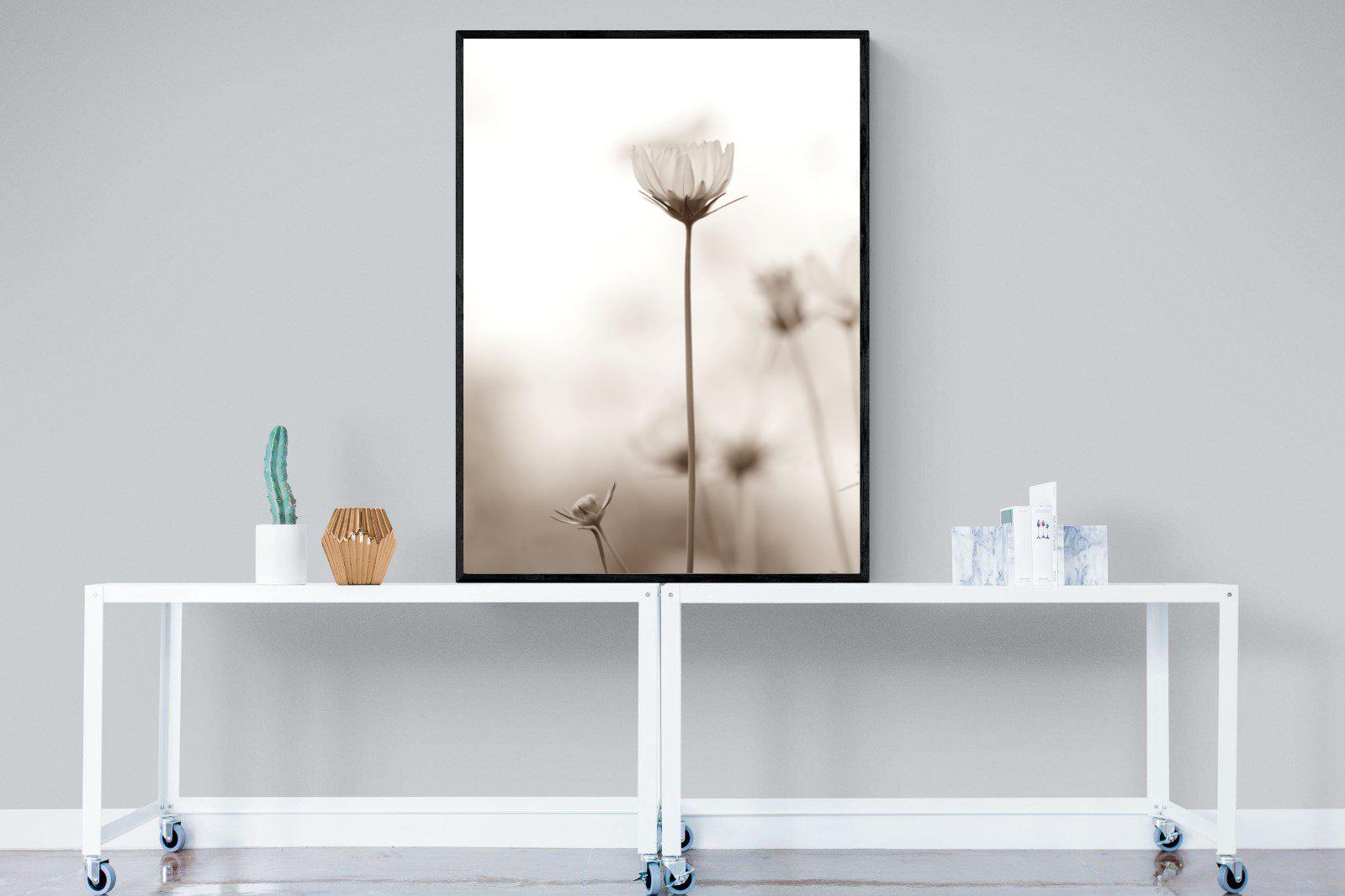 Cosmos-Wall_Art-90 x 120cm-Mounted Canvas-Black-Pixalot