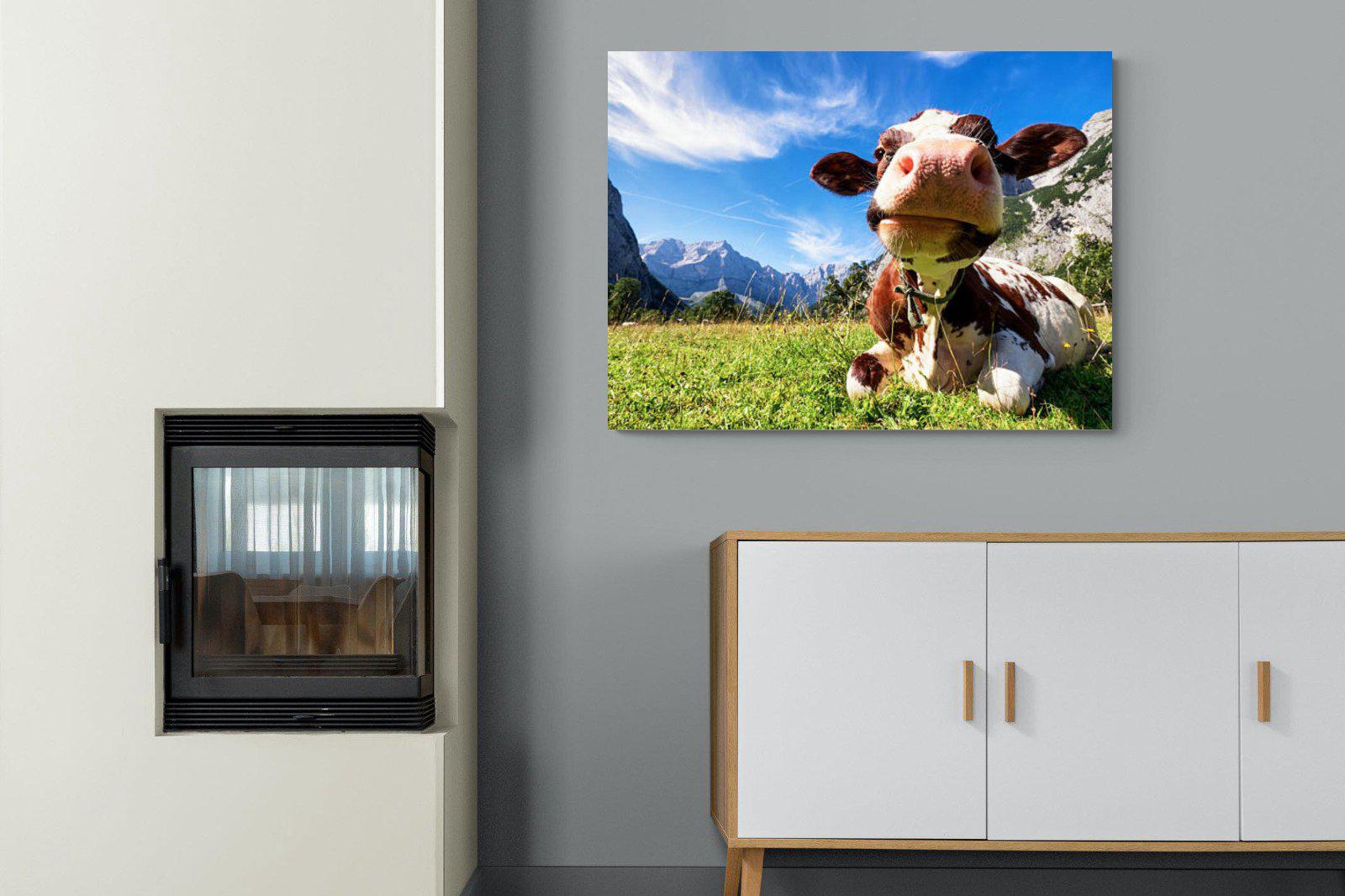 Cow-Wall_Art-100 x 75cm-Mounted Canvas-No Frame-Pixalot