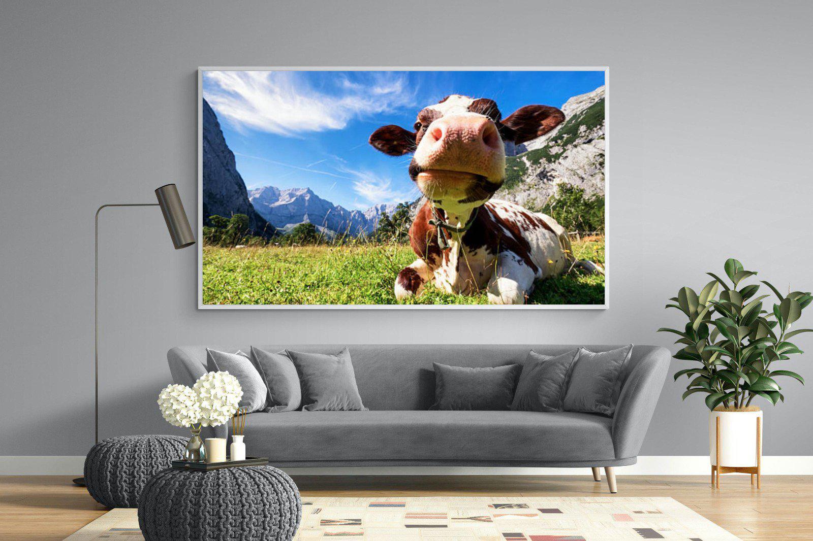 Cow-Wall_Art-220 x 130cm-Mounted Canvas-White-Pixalot
