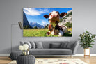 Cow-Wall_Art-220 x 130cm-Mounted Canvas-No Frame-Pixalot