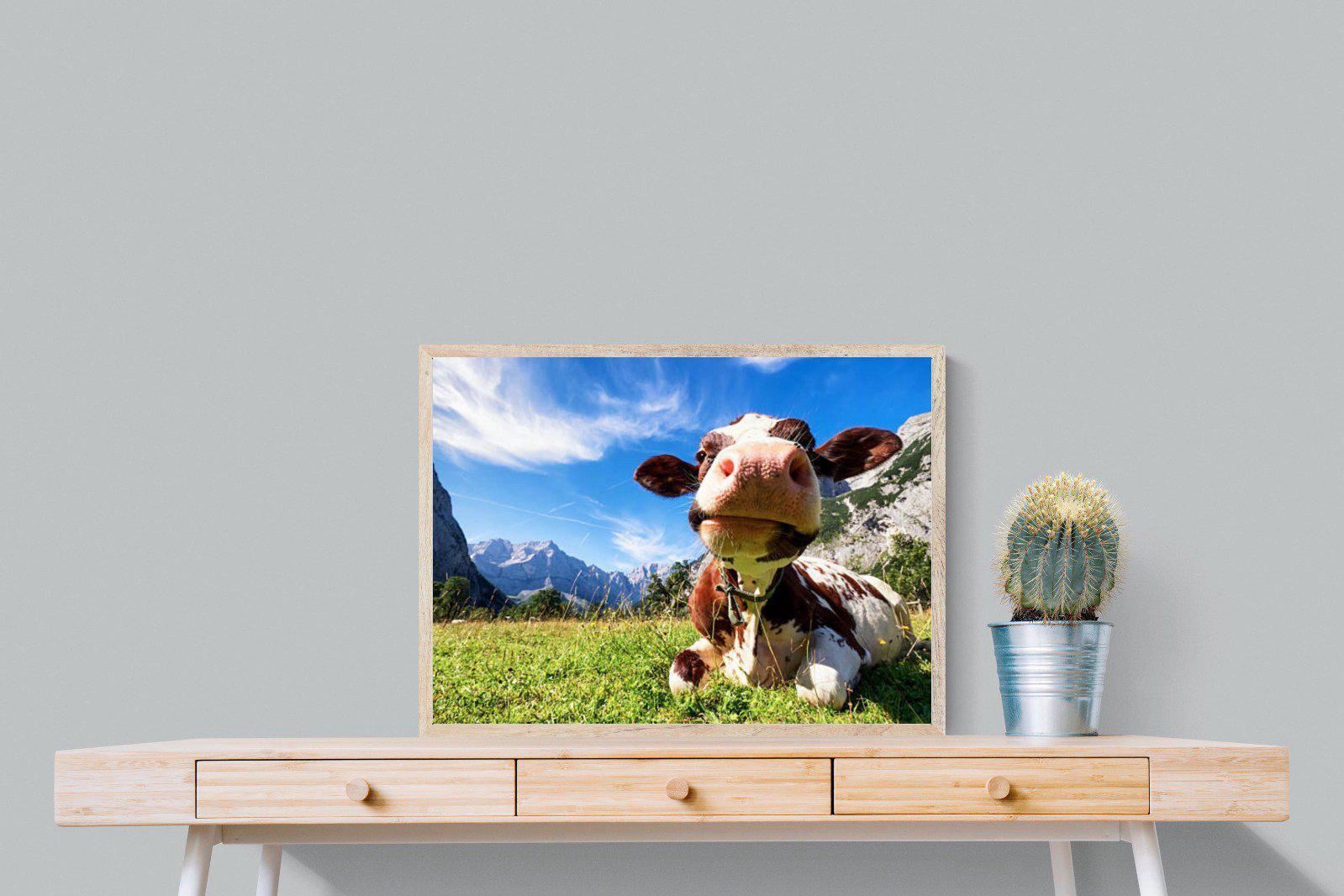 Cow-Wall_Art-80 x 60cm-Mounted Canvas-Wood-Pixalot