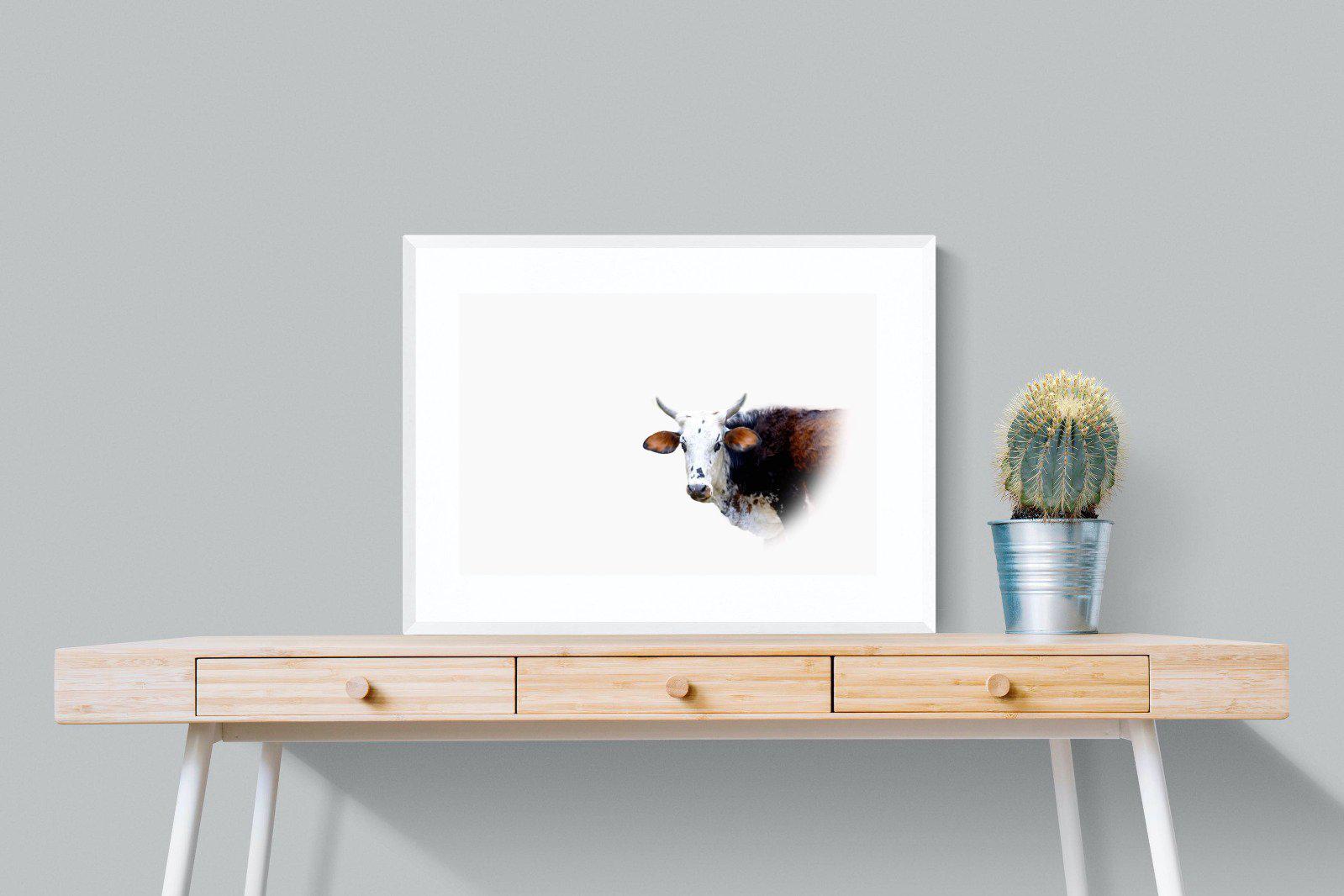 Curious Nguni-Wall_Art-80 x 60cm-Framed Print-White-Pixalot