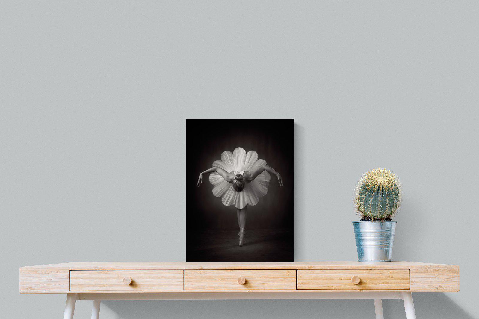 Curtsy-Wall_Art-45 x 60cm-Mounted Canvas-No Frame-Pixalot