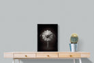 Curtsy-Wall_Art-45 x 60cm-Mounted Canvas-Black-Pixalot