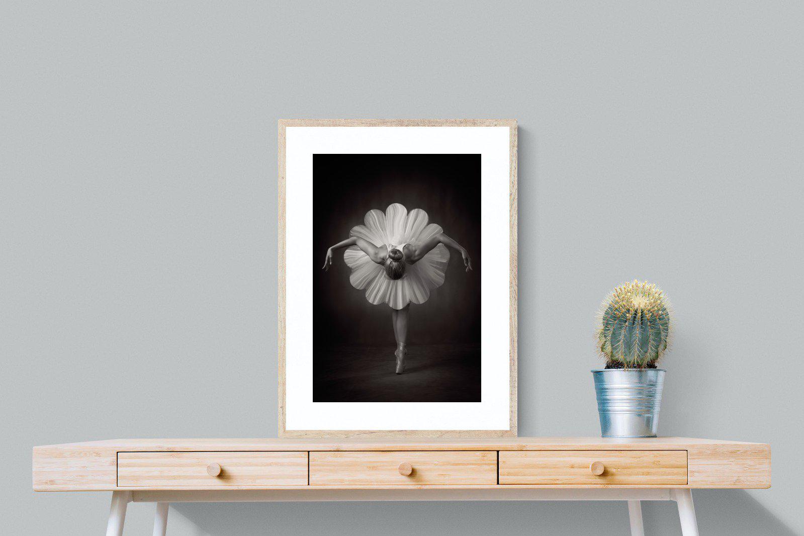 Curtsy-Wall_Art-60 x 80cm-Framed Print-Wood-Pixalot