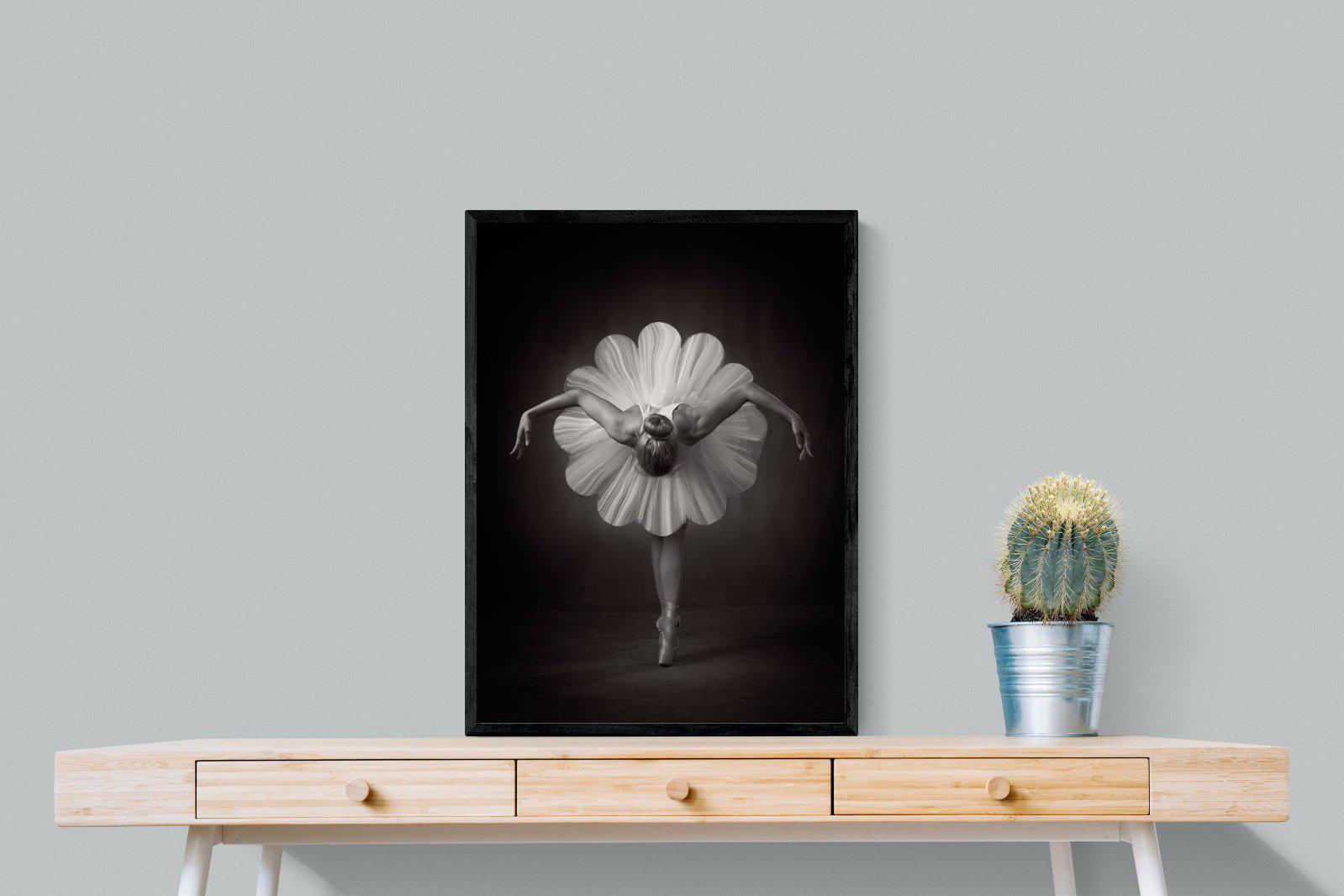 Curtsy-Wall_Art-60 x 80cm-Mounted Canvas-Black-Pixalot