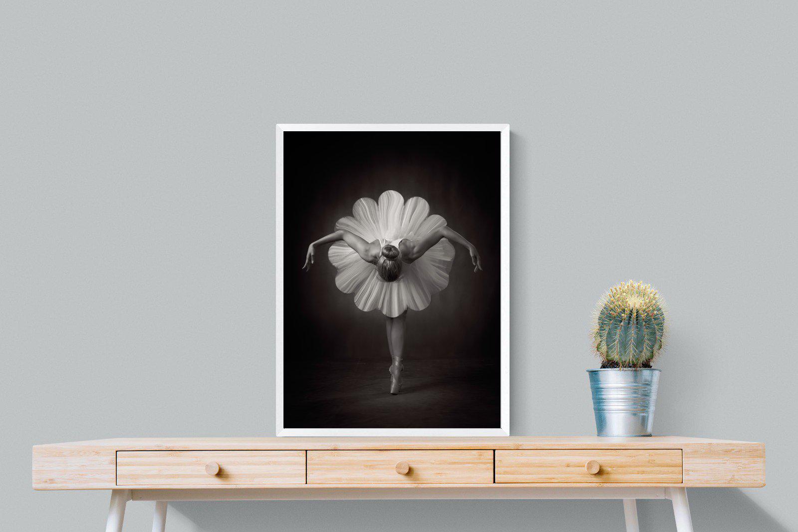 Curtsy-Wall_Art-60 x 80cm-Mounted Canvas-White-Pixalot