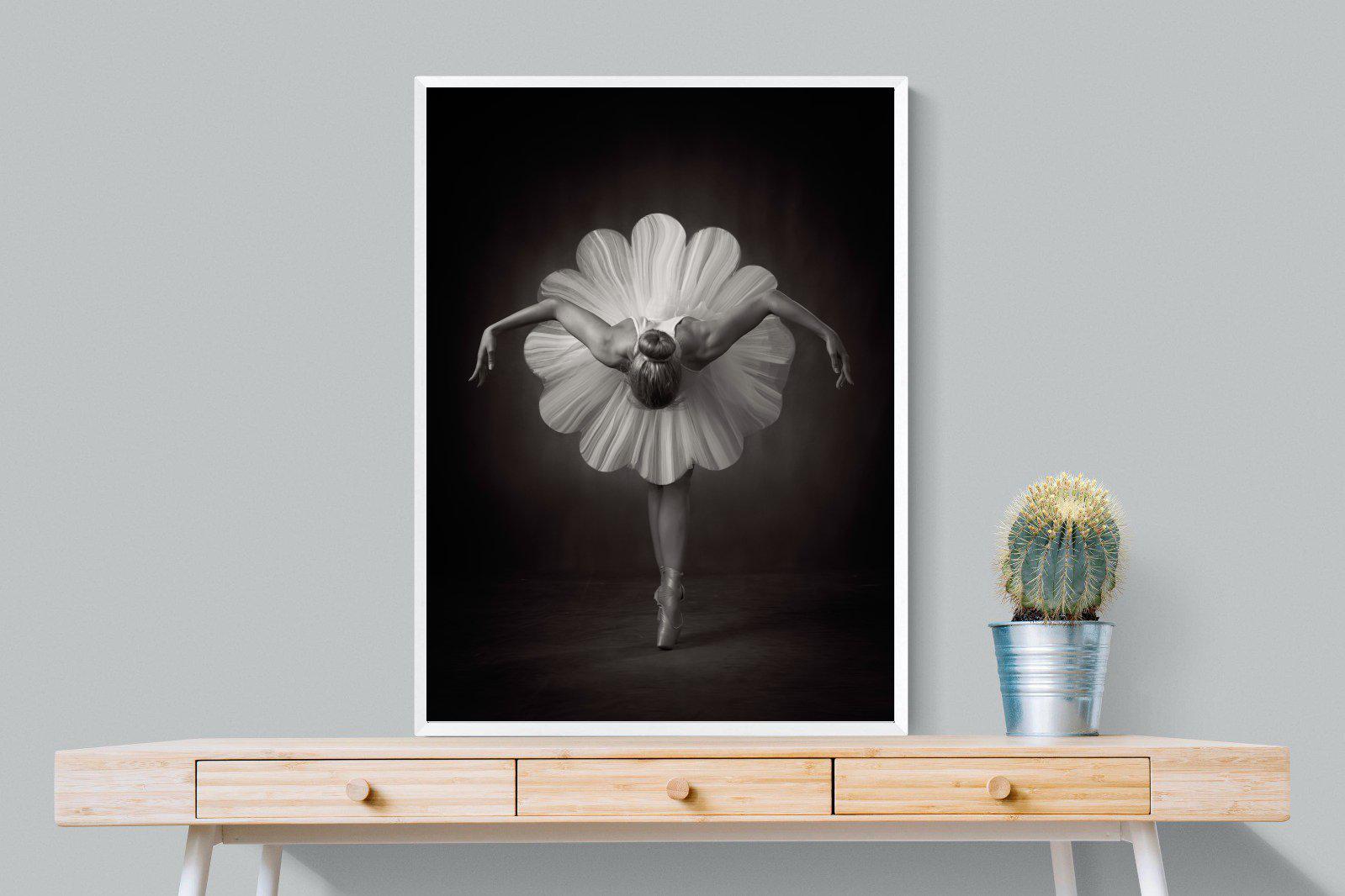 Curtsy-Wall_Art-75 x 100cm-Mounted Canvas-White-Pixalot