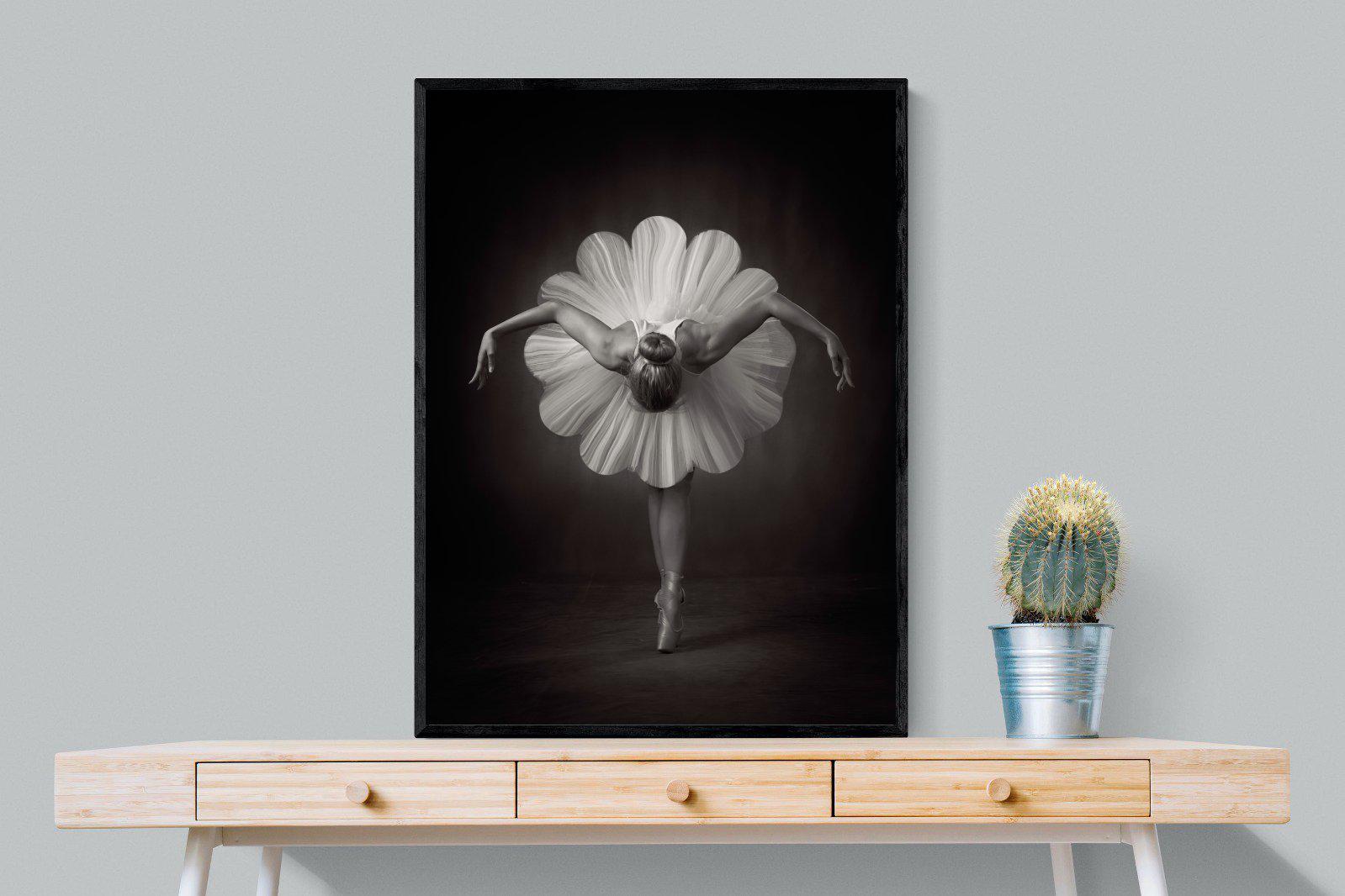 Curtsy-Wall_Art-75 x 100cm-Mounted Canvas-Black-Pixalot