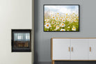 Daisies-Wall_Art-100 x 75cm-Mounted Canvas-Black-Pixalot
