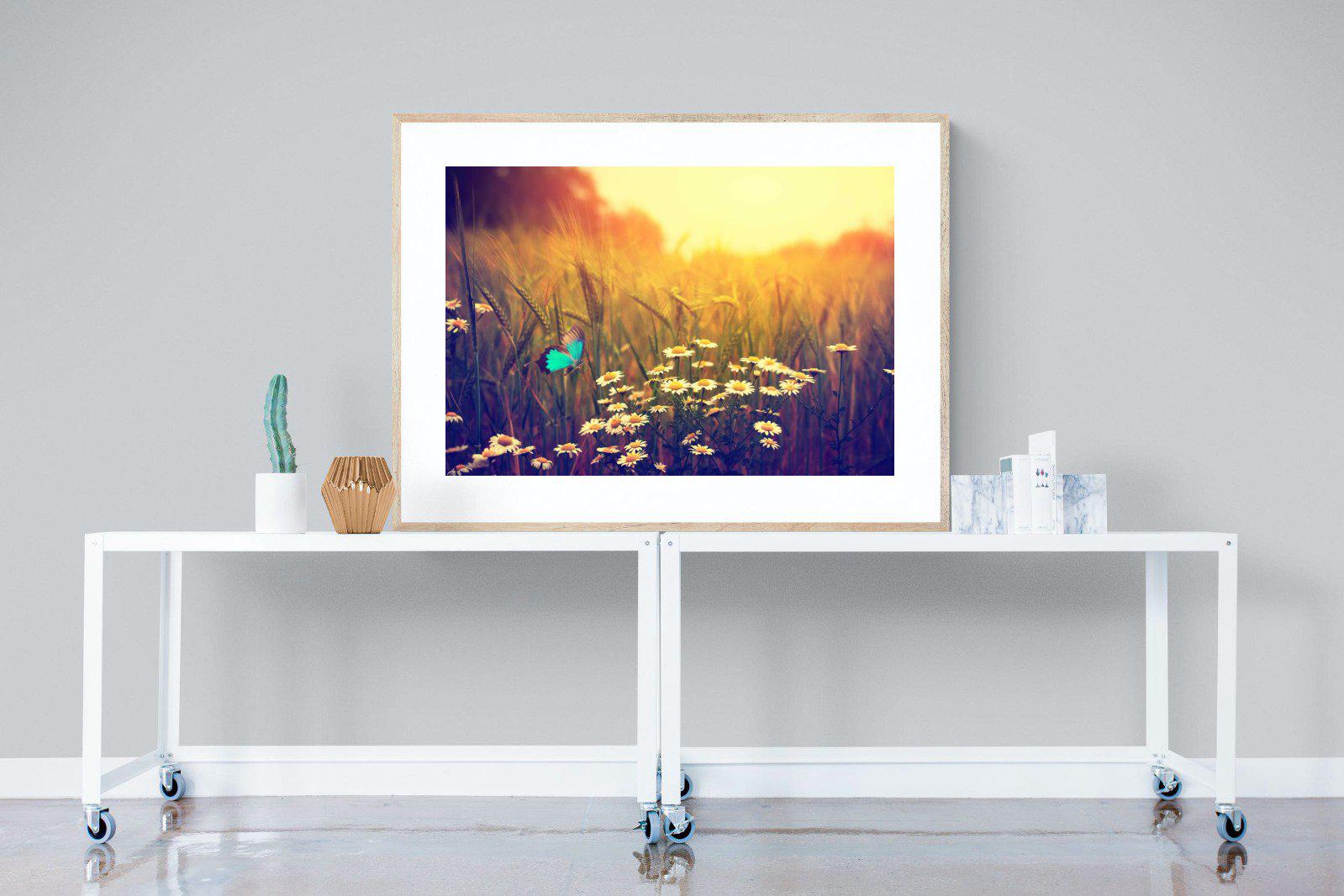 Daisy Flutter-Wall_Art-120 x 90cm-Framed Print-Wood-Pixalot