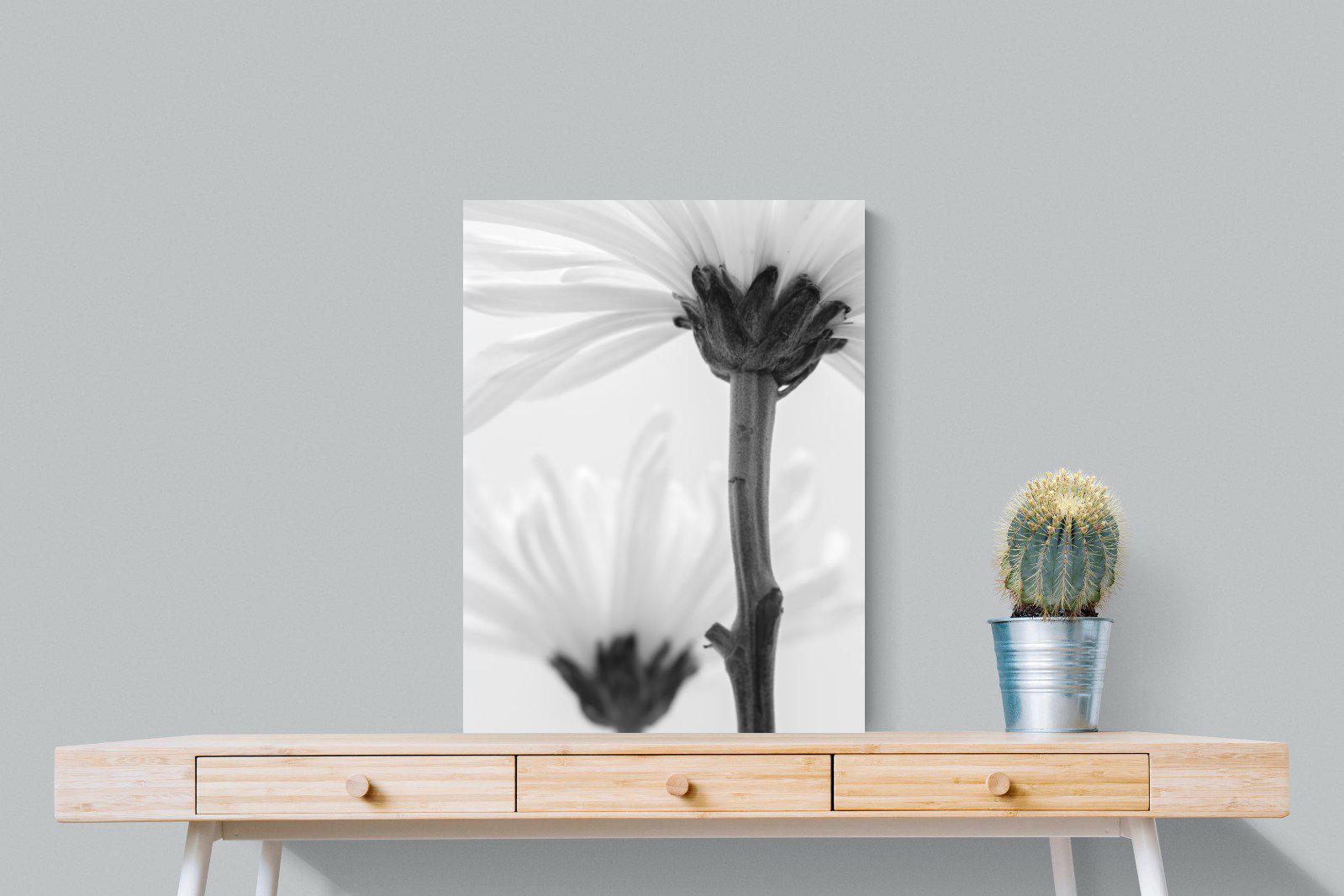 Daisy Stem-Wall_Art-60 x 80cm-Mounted Canvas-No Frame-Pixalot