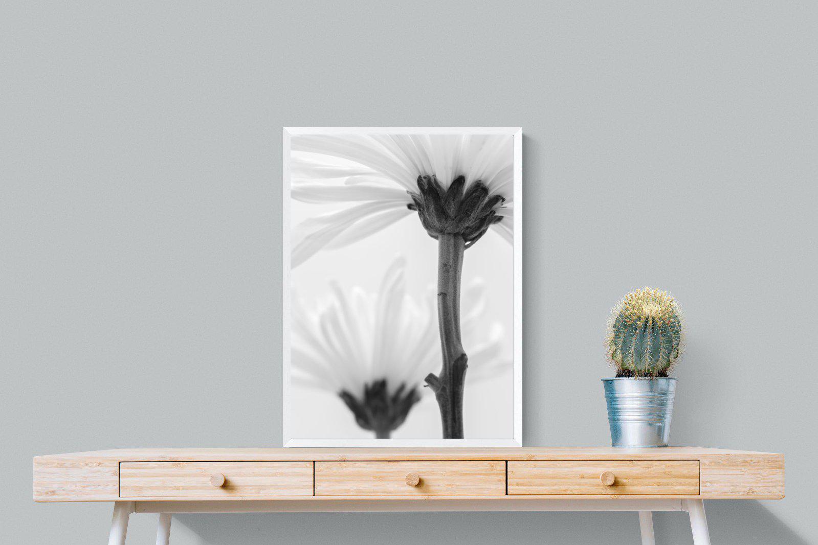 Daisy Stem-Wall_Art-60 x 80cm-Mounted Canvas-White-Pixalot