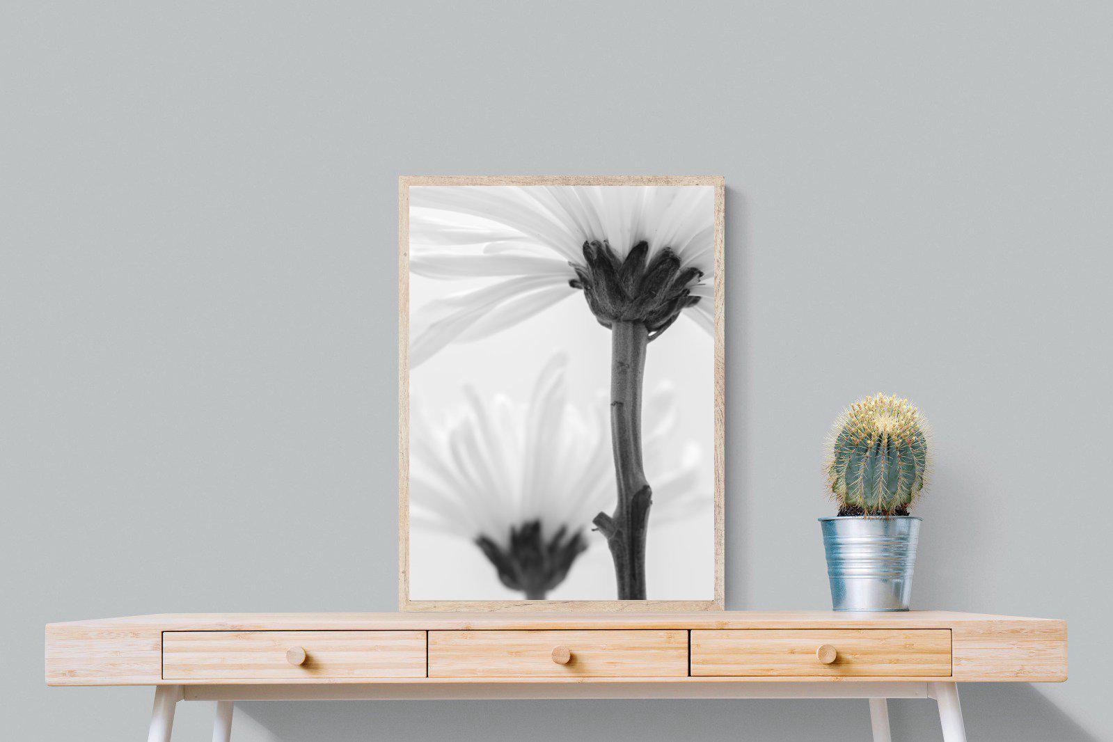 Daisy Stem-Wall_Art-60 x 80cm-Mounted Canvas-Wood-Pixalot