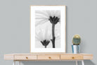 Daisy Stem-Wall_Art-75 x 100cm-Framed Print-Wood-Pixalot