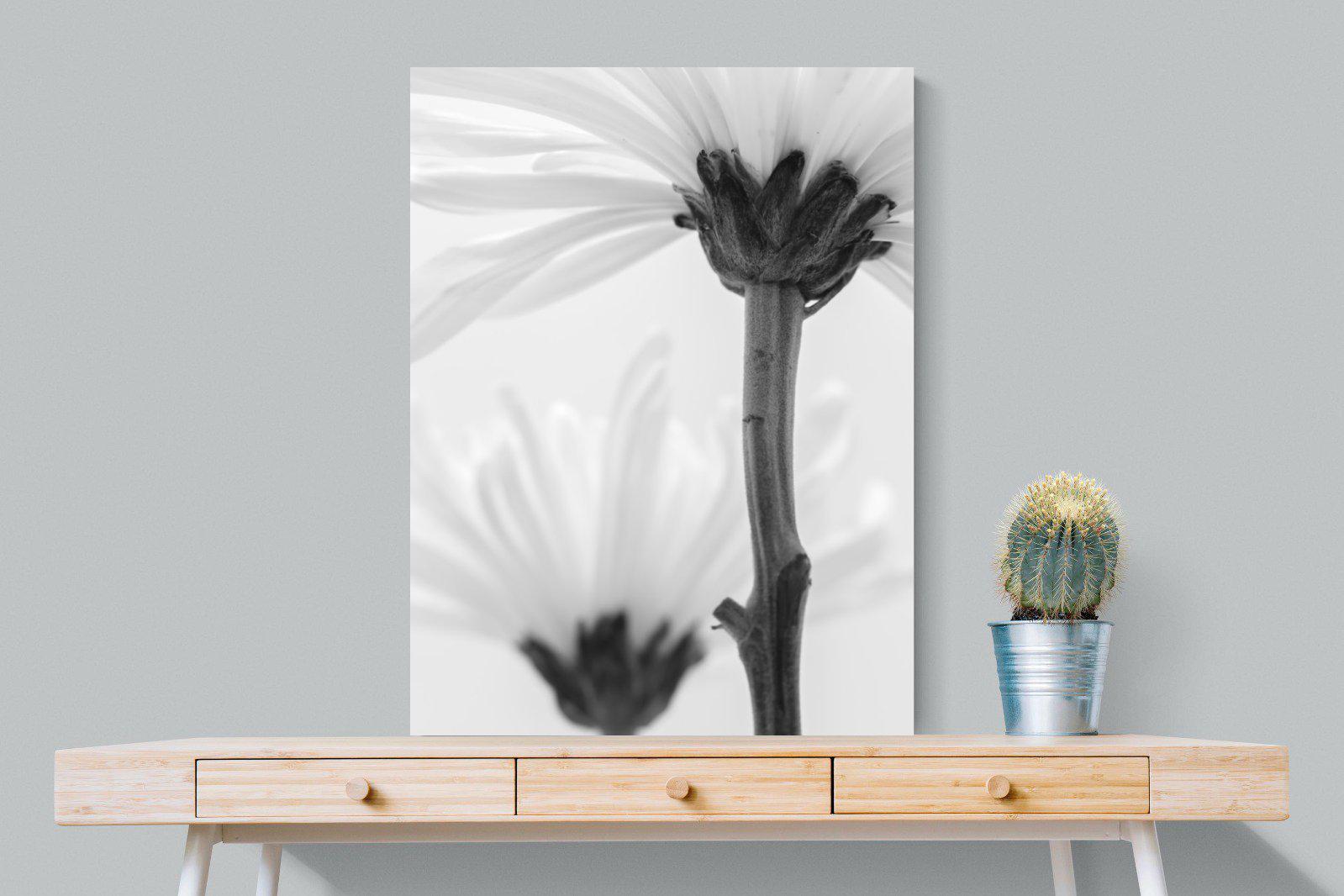 Daisy Stem-Wall_Art-75 x 100cm-Mounted Canvas-No Frame-Pixalot