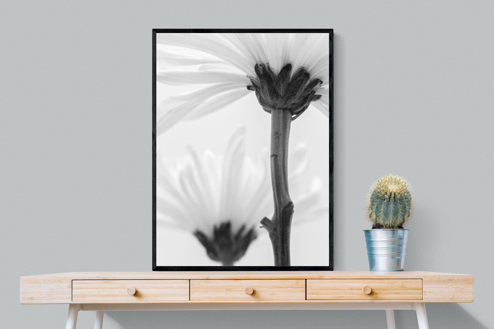 Daisy Stem-Wall_Art-75 x 100cm-Mounted Canvas-Black-Pixalot