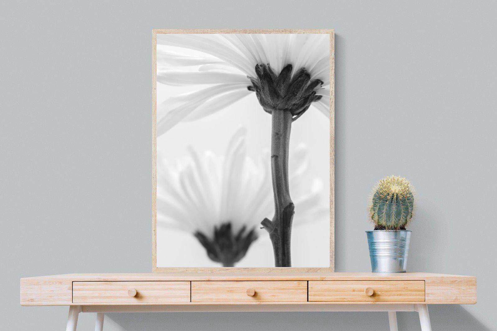 Daisy Stem-Wall_Art-75 x 100cm-Mounted Canvas-Wood-Pixalot