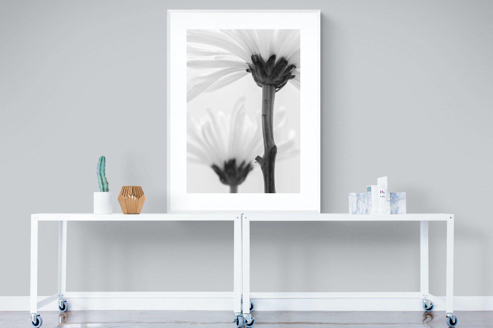 Daisy Stem-Wall_Art-90 x 120cm-Framed Print-White-Pixalot