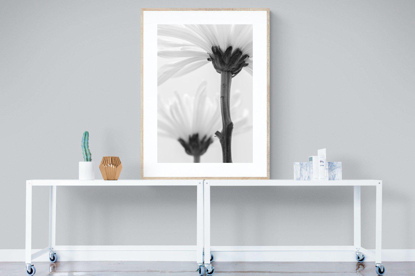 Daisy Stem-Wall_Art-90 x 120cm-Framed Print-Wood-Pixalot