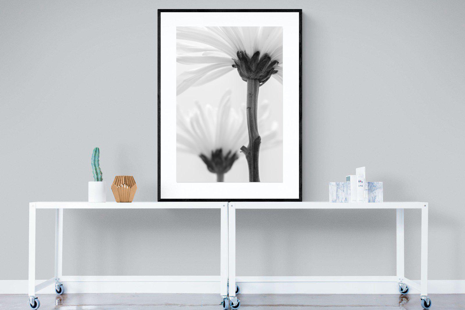 Daisy Stem-Wall_Art-90 x 120cm-Framed Print-Black-Pixalot