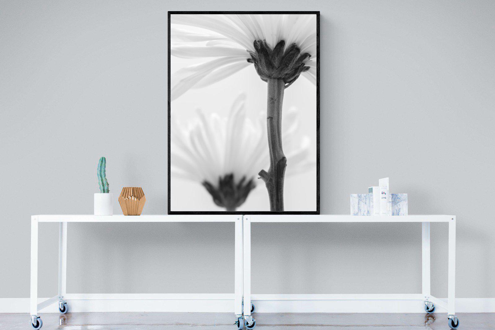 Daisy Stem-Wall_Art-90 x 120cm-Mounted Canvas-Black-Pixalot