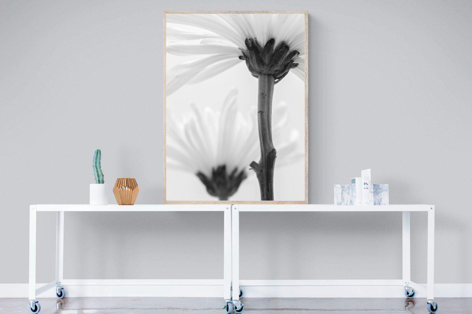 Daisy Stem-Wall_Art-90 x 120cm-Mounted Canvas-Wood-Pixalot