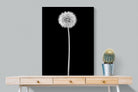 Dandelion Noir-Wall_Art-75 x 100cm-Mounted Canvas-No Frame-Pixalot