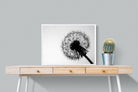 Dandelion-Wall_Art-80 x 60cm-Mounted Canvas-White-Pixalot