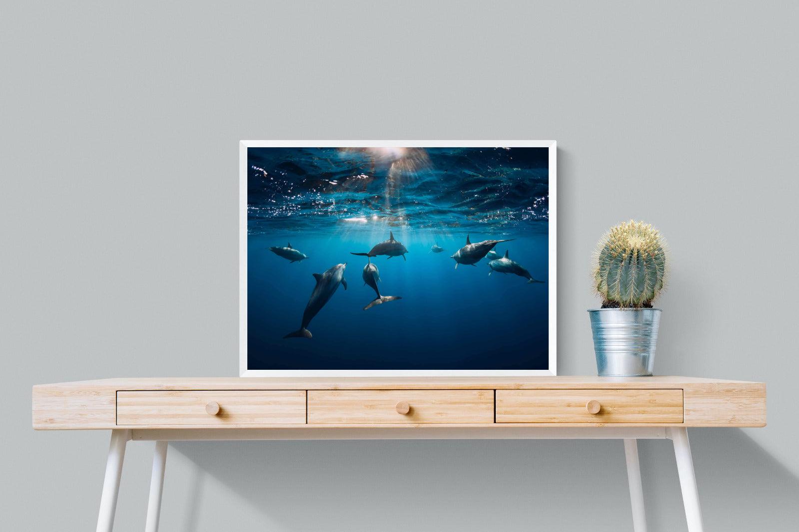 Dolphins-Wall_Art-80 x 60cm-Mounted Canvas-White-Pixalot