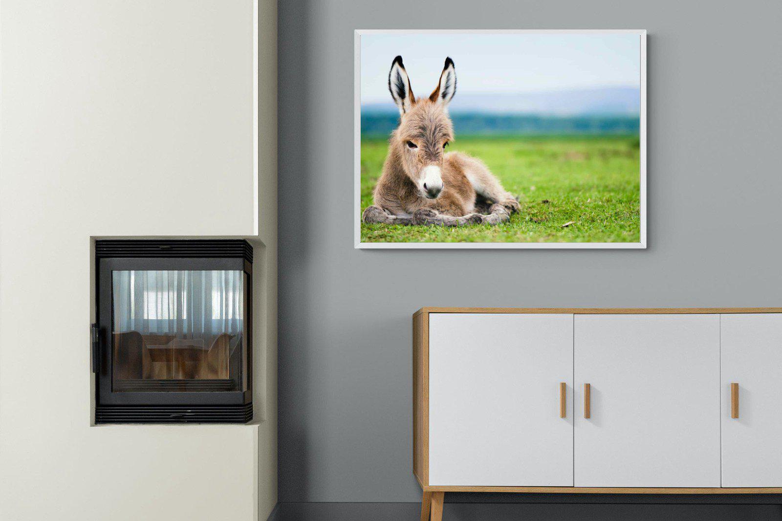 Donkey Foal-Wall_Art-100 x 75cm-Mounted Canvas-White-Pixalot