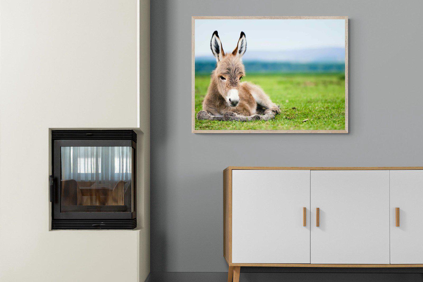 Donkey Foal-Wall_Art-100 x 75cm-Mounted Canvas-Wood-Pixalot