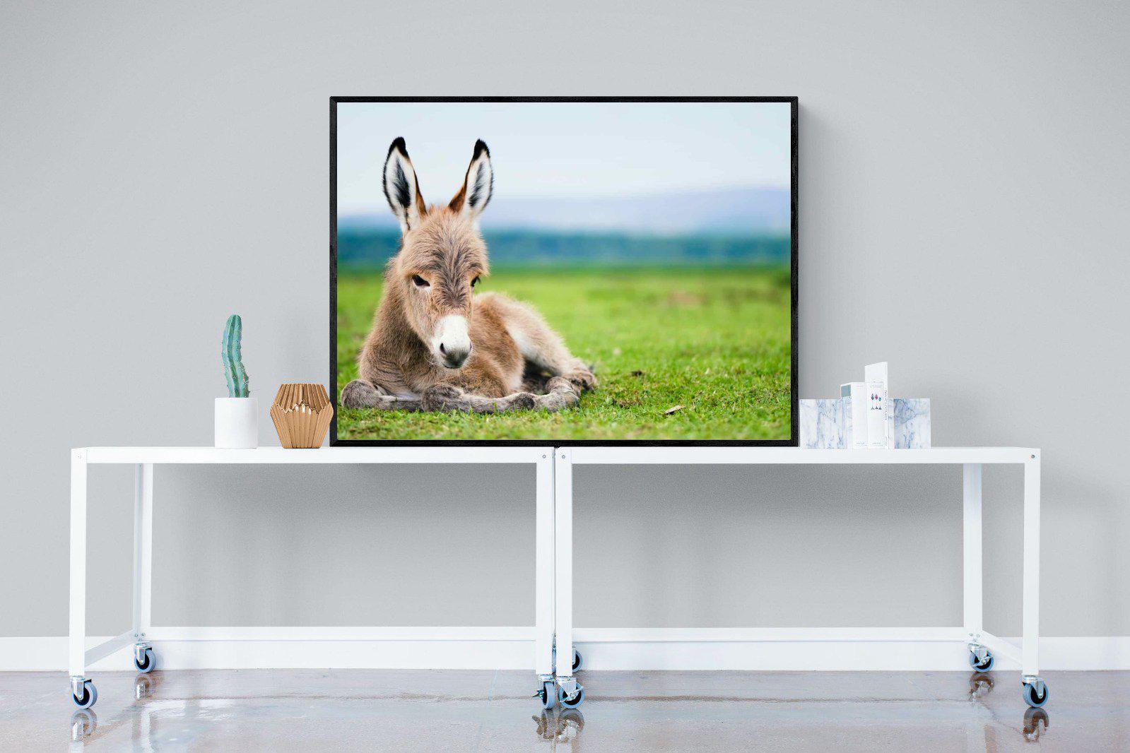 Donkey Foal-Wall_Art-120 x 90cm-Mounted Canvas-Black-Pixalot