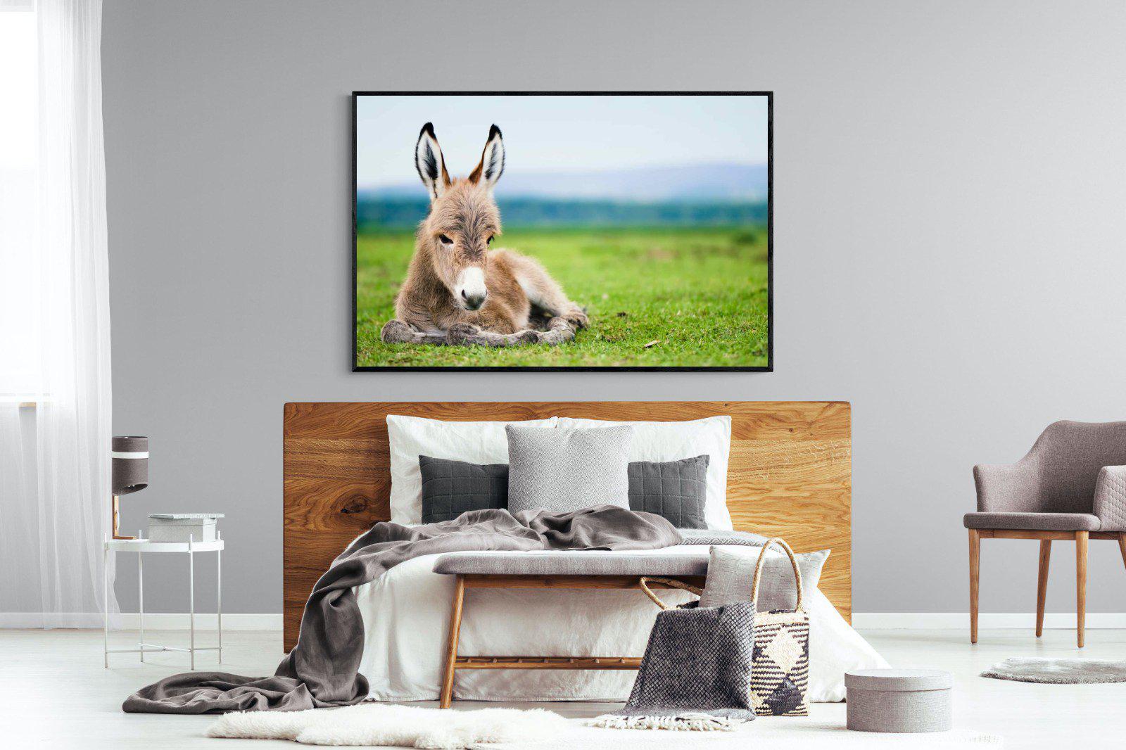 Donkey Foal-Wall_Art-150 x 100cm-Mounted Canvas-Black-Pixalot