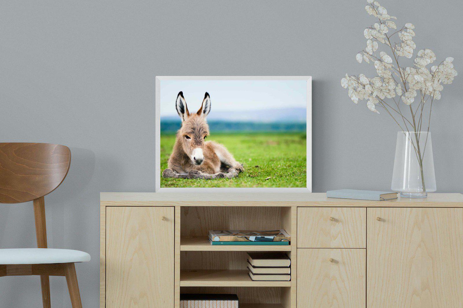 Donkey Foal-Wall_Art-60 x 45cm-Mounted Canvas-White-Pixalot