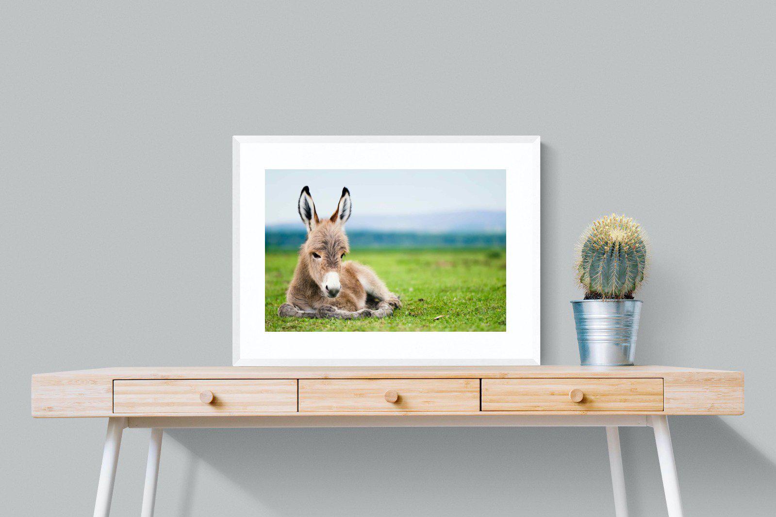 Donkey Foal-Wall_Art-80 x 60cm-Framed Print-White-Pixalot