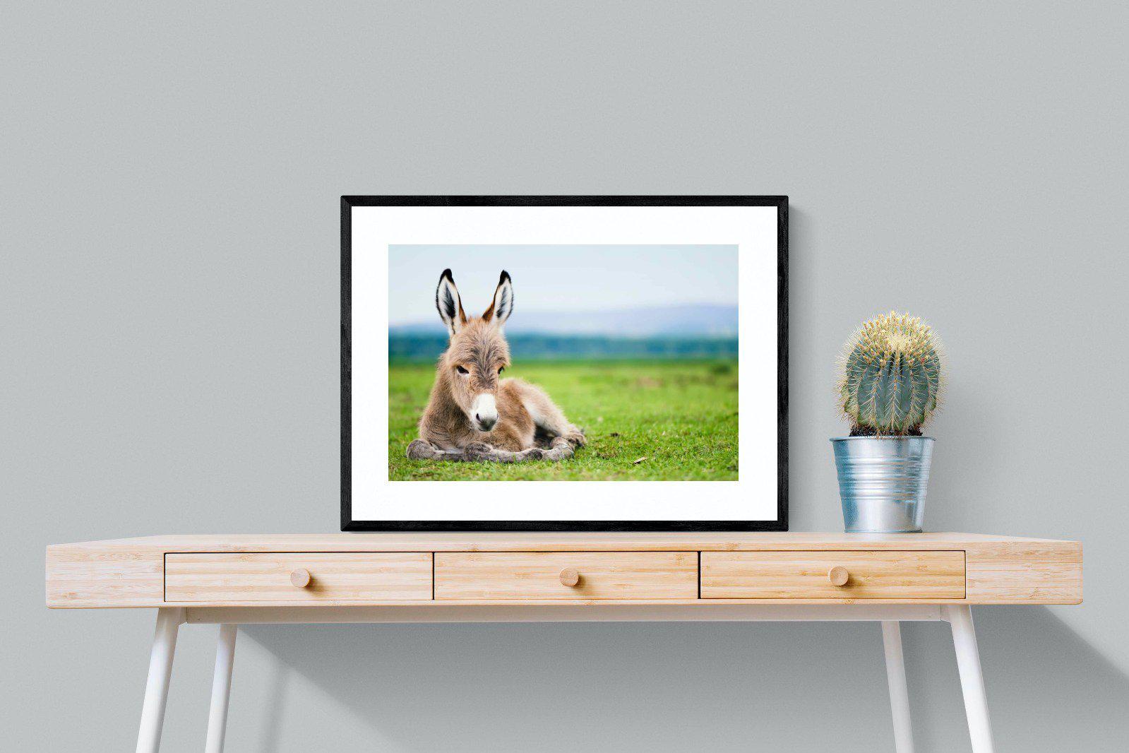 Donkey Foal-Wall_Art-80 x 60cm-Framed Print-Black-Pixalot