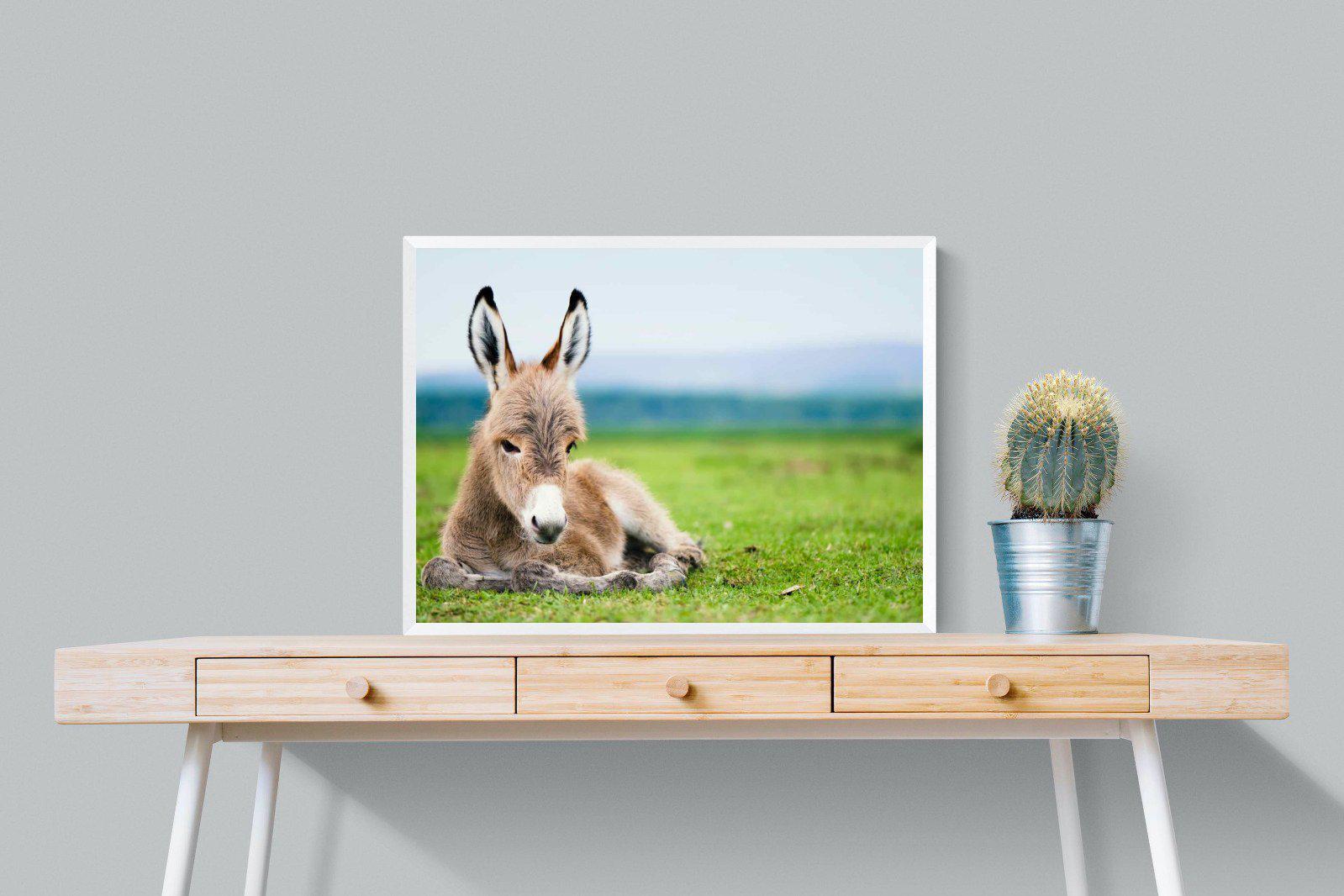 Donkey Foal-Wall_Art-80 x 60cm-Mounted Canvas-White-Pixalot