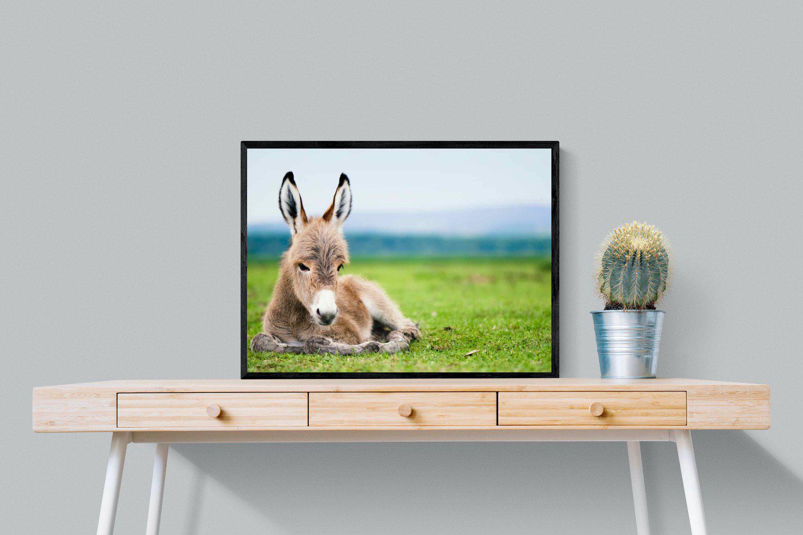 Donkey Foal-Wall_Art-80 x 60cm-Mounted Canvas-Black-Pixalot