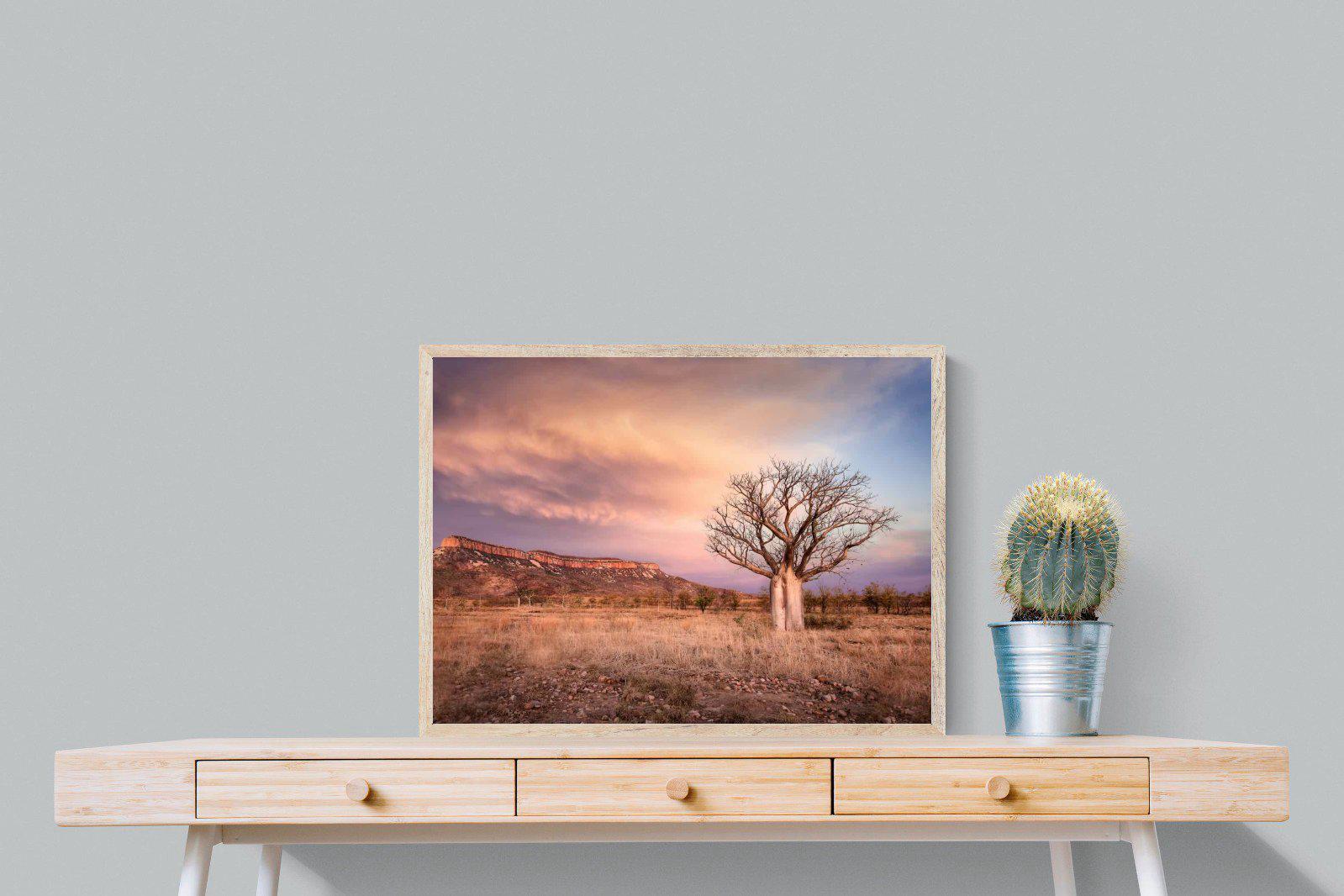 Dusky Baobab-Wall_Art-80 x 60cm-Mounted Canvas-Wood-Pixalot