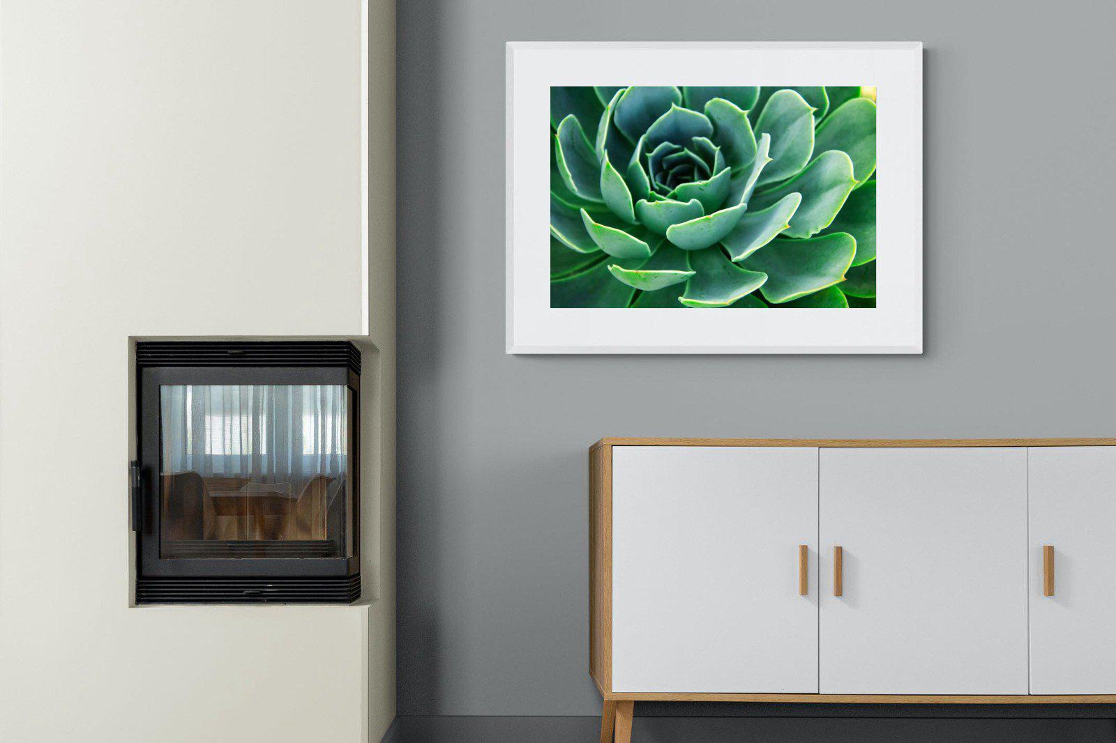 Echeveria Elegans-Wall_Art-100 x 75cm-Framed Print-White-Pixalot