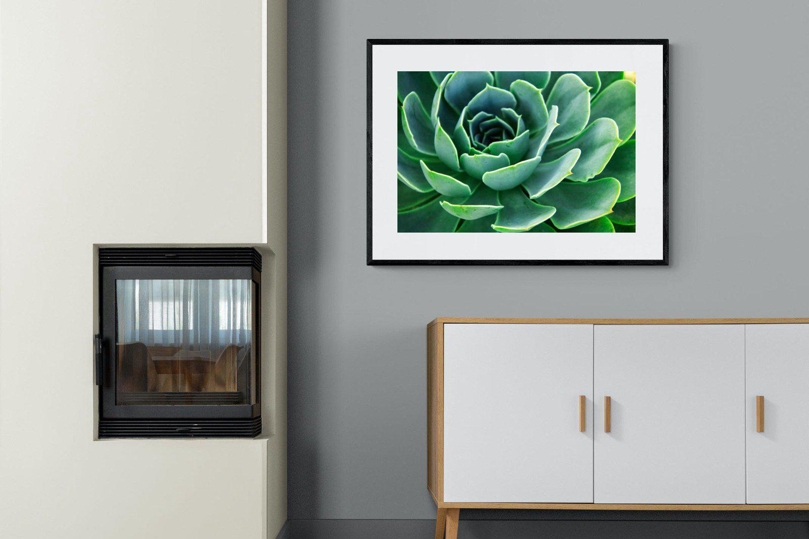 Echeveria Elegans-Wall_Art-100 x 75cm-Framed Print-Black-Pixalot