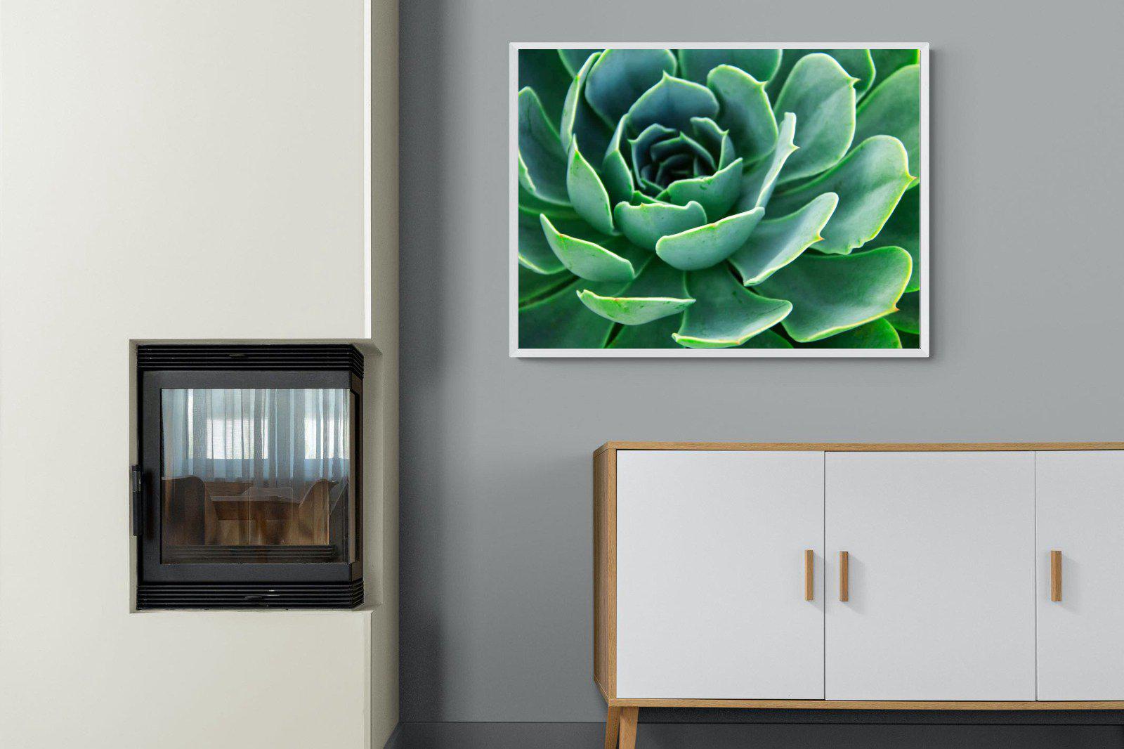 Echeveria Elegans-Wall_Art-100 x 75cm-Mounted Canvas-White-Pixalot