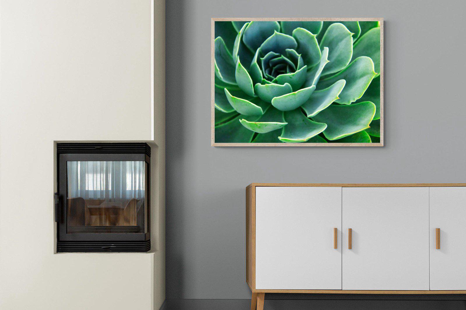 Echeveria Elegans-Wall_Art-100 x 75cm-Mounted Canvas-Wood-Pixalot