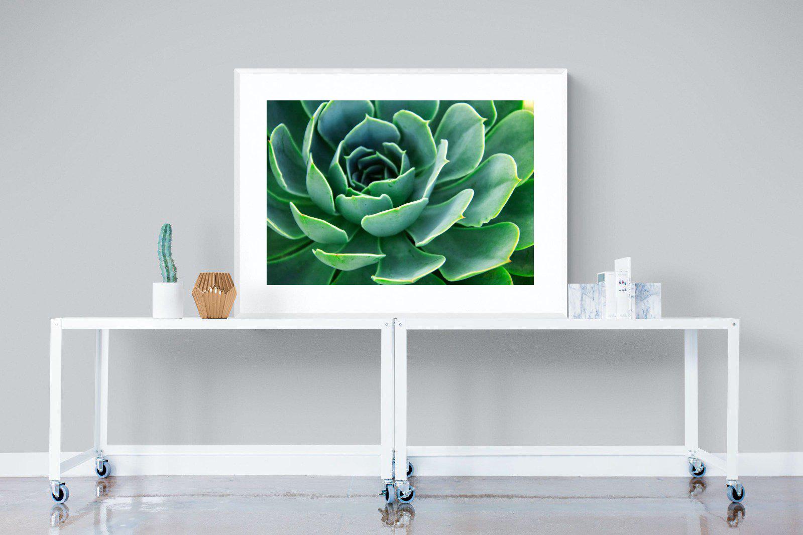 Echeveria Elegans-Wall_Art-120 x 90cm-Framed Print-White-Pixalot