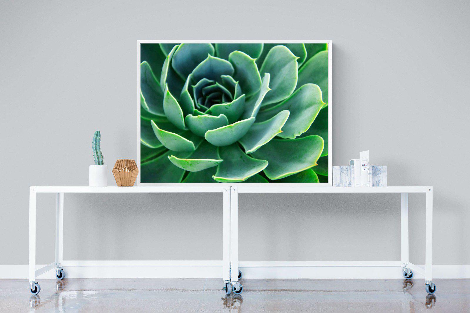 Echeveria Elegans-Wall_Art-120 x 90cm-Mounted Canvas-White-Pixalot