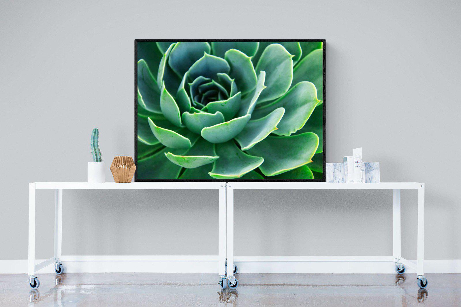 Echeveria Elegans-Wall_Art-120 x 90cm-Mounted Canvas-Black-Pixalot