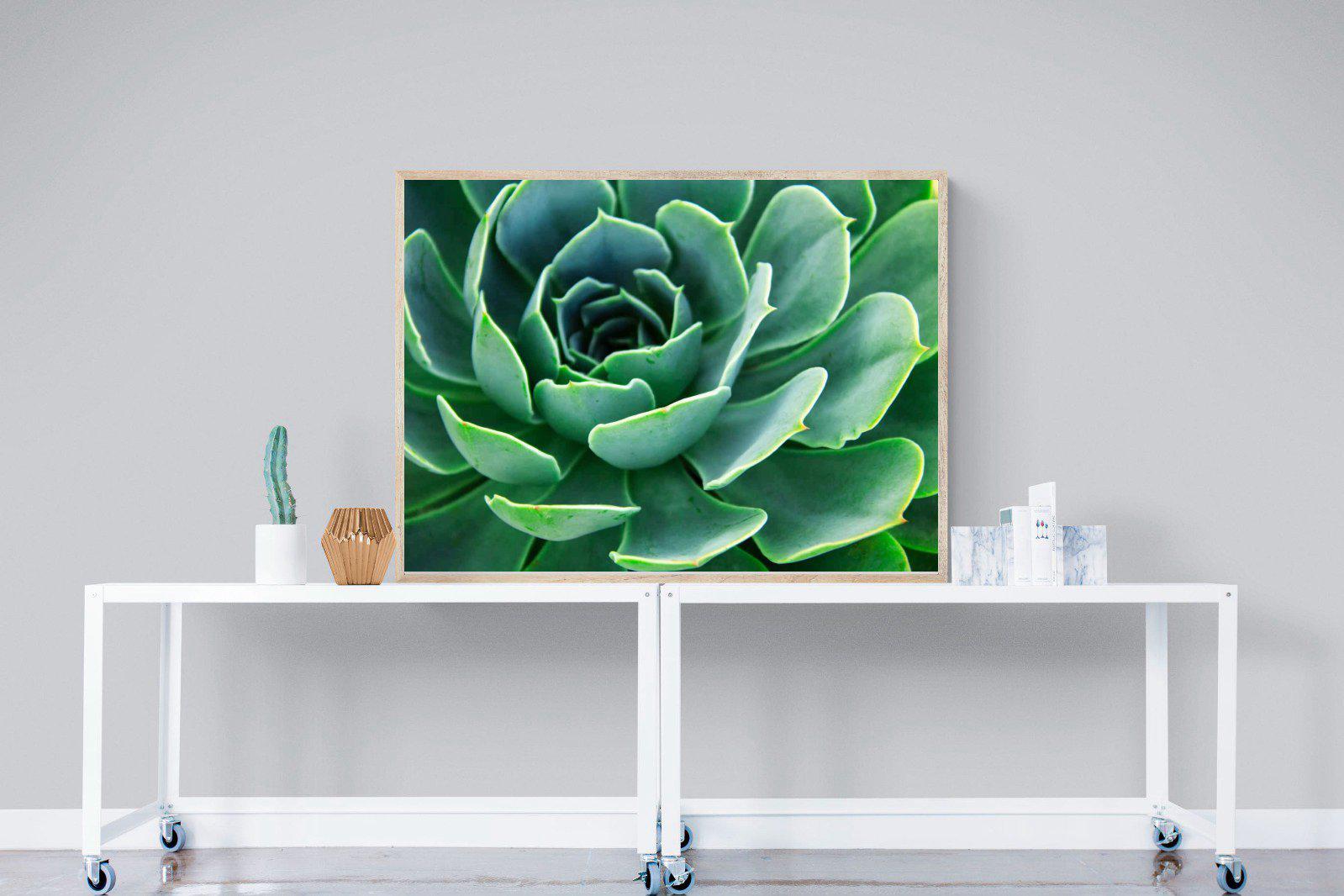 Echeveria Elegans-Wall_Art-120 x 90cm-Mounted Canvas-Wood-Pixalot