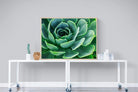 Echeveria Elegans-Wall_Art-120 x 90cm-Mounted Canvas-Wood-Pixalot