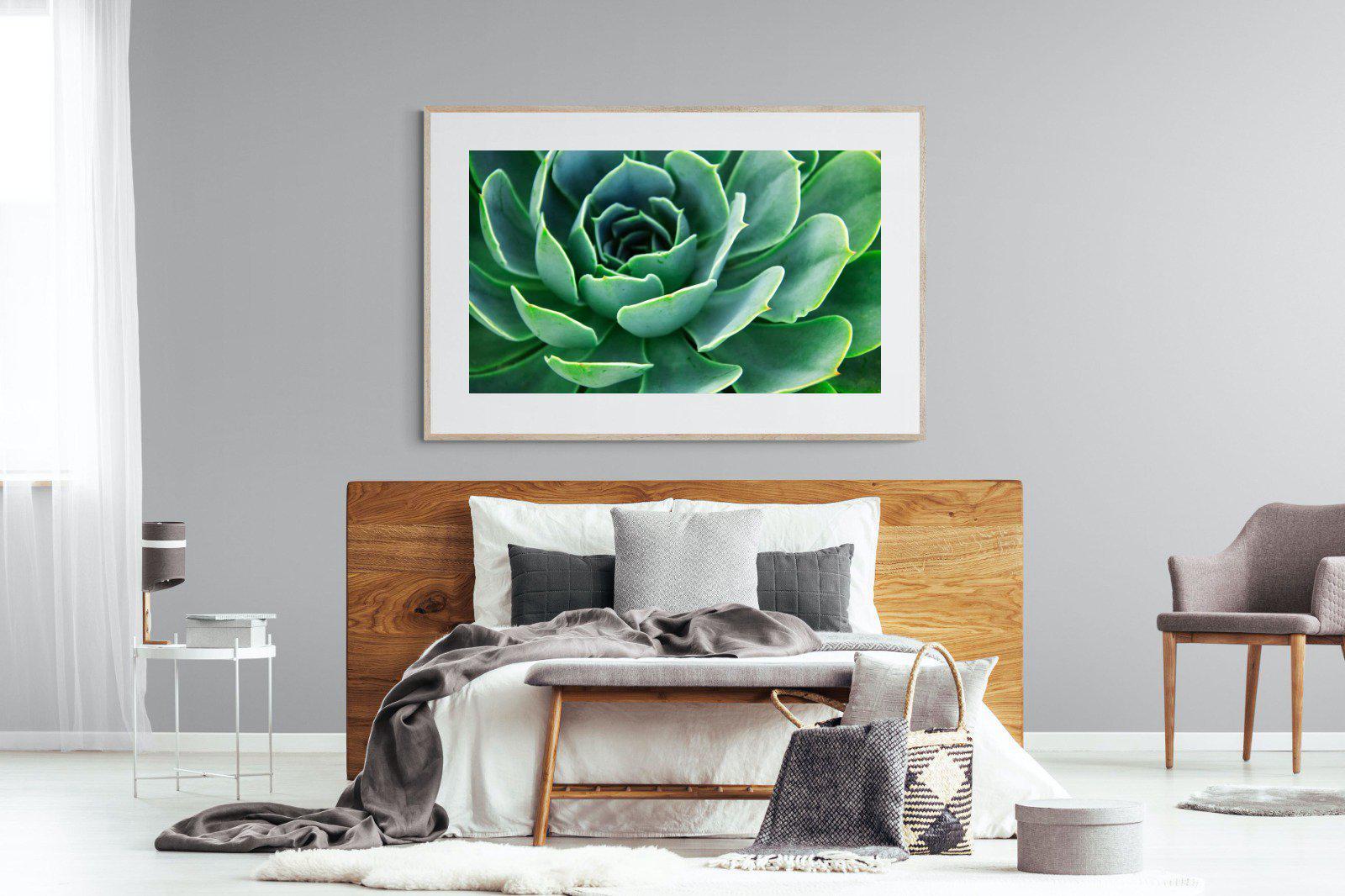 Echeveria Elegans-Wall_Art-150 x 100cm-Framed Print-Wood-Pixalot